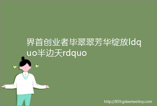 界首创业者毕翠翠芳华绽放ldquo半边天rdquo